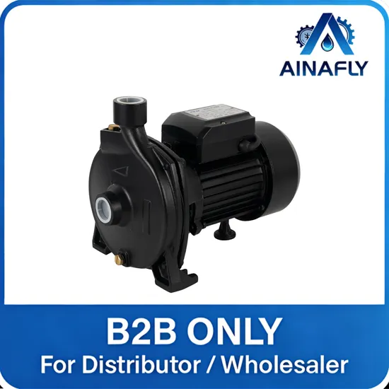 Cpm200 High-Efficiency Surface Pump for Domestic Clean Water Supply and Irrigation Systems